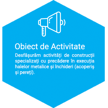 obiect activitate